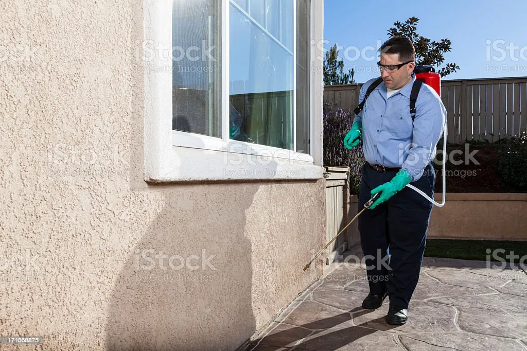 Salinas and Sons Pest Control in Pearsall, TX — business photo 2