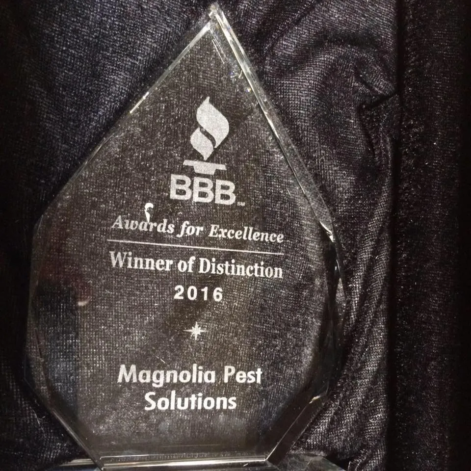 Magnolia Pest Solutions in Conroe, TX — business photo 5