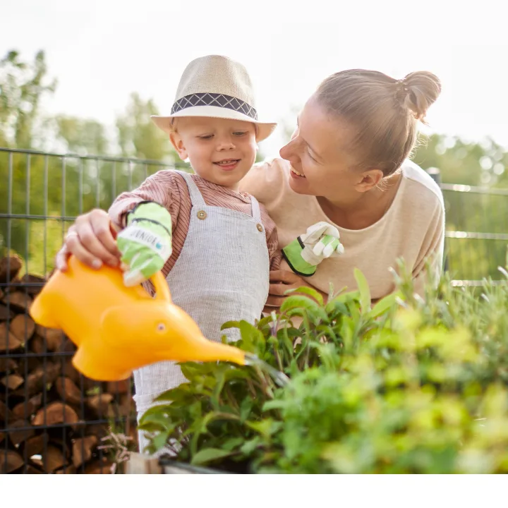 Mosquito Squad of Houston — pest control in Tomball, HARRIS County, TX