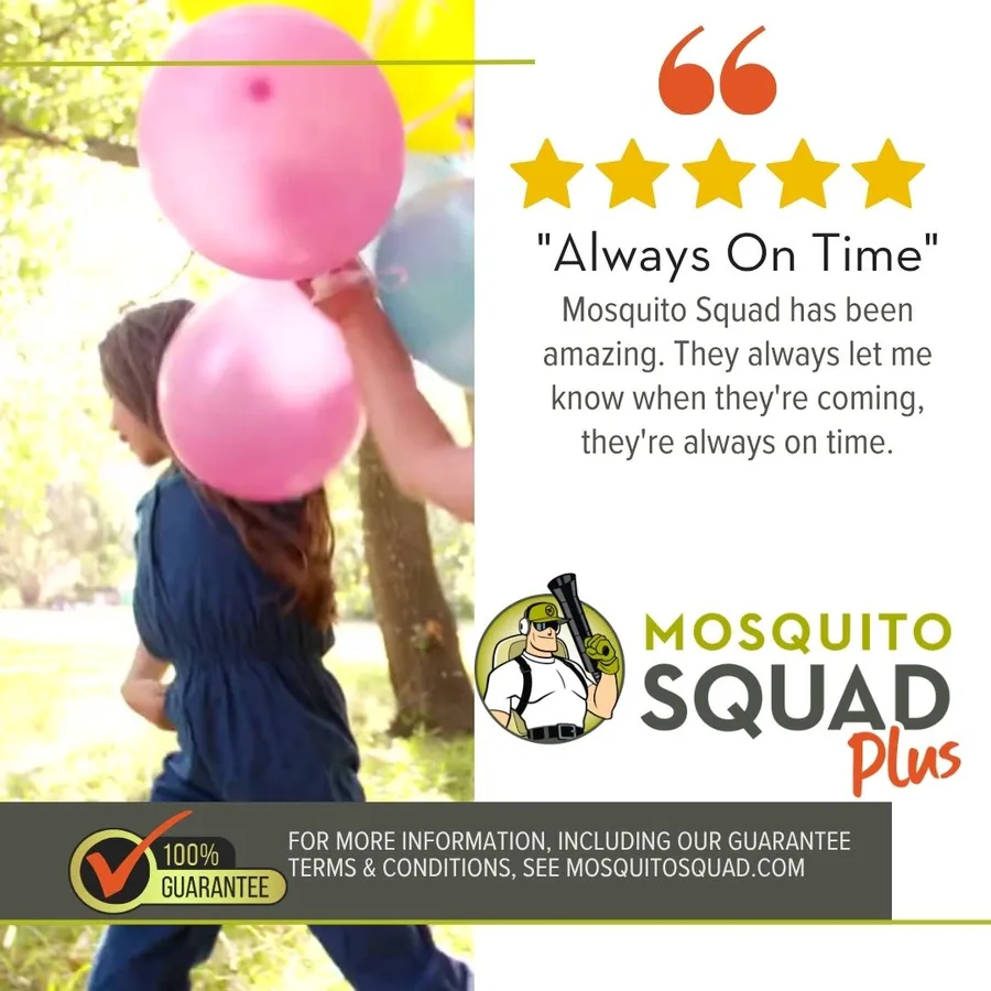 Mosquito Squad of Houston in Tomball, TX — business photo 2