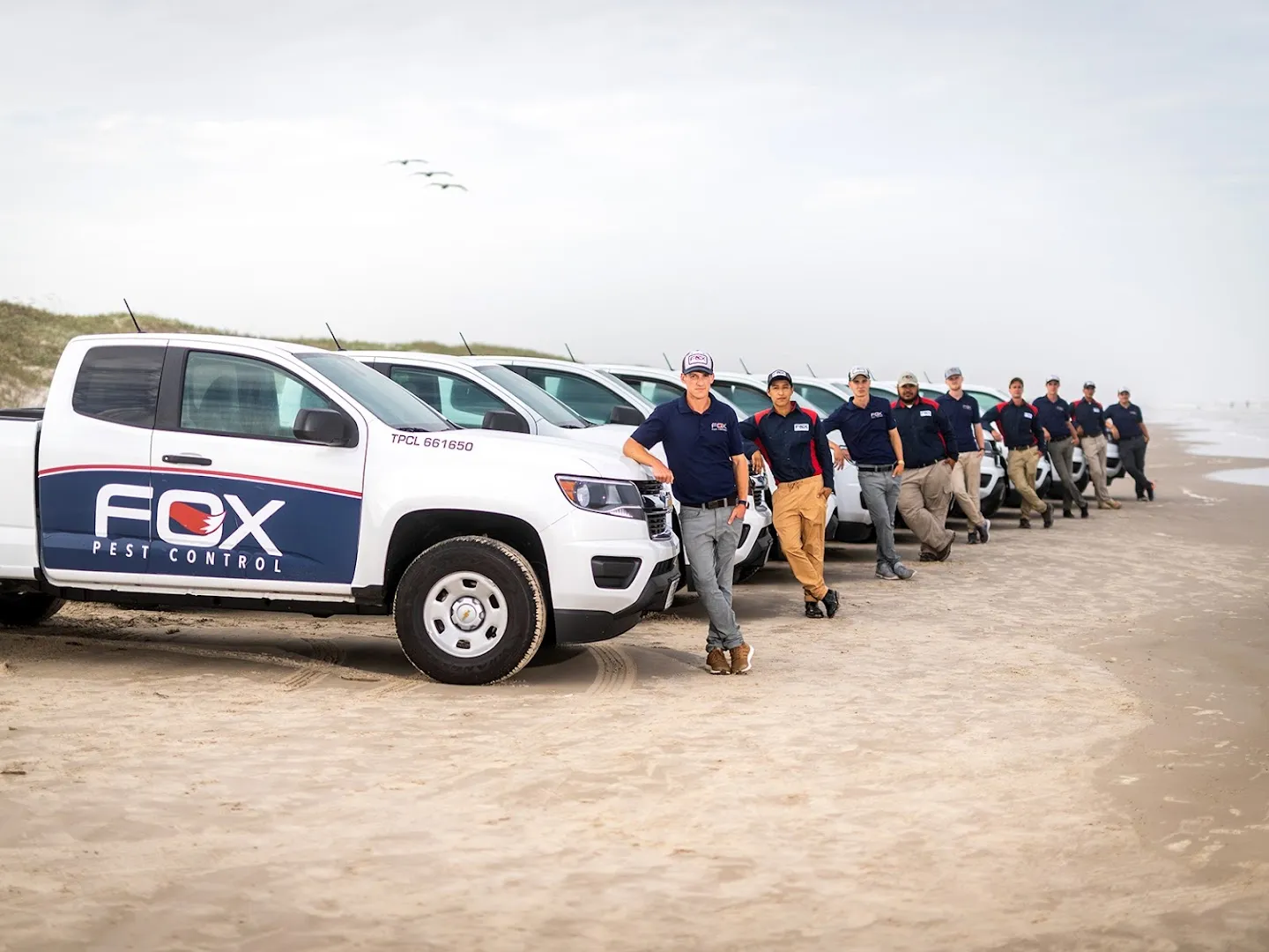 Fox Pest Control Corpus Christi in Corpus Christi, TX — business photo 6