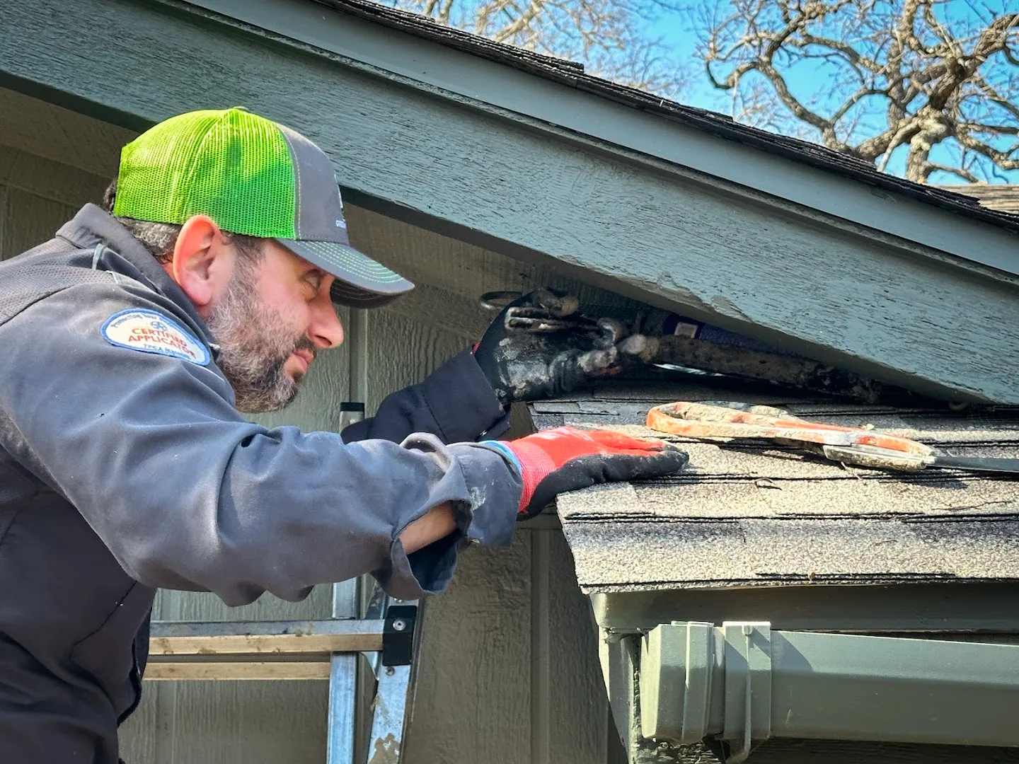 Natran Green Pest Control in Austin, TX — business photo 4