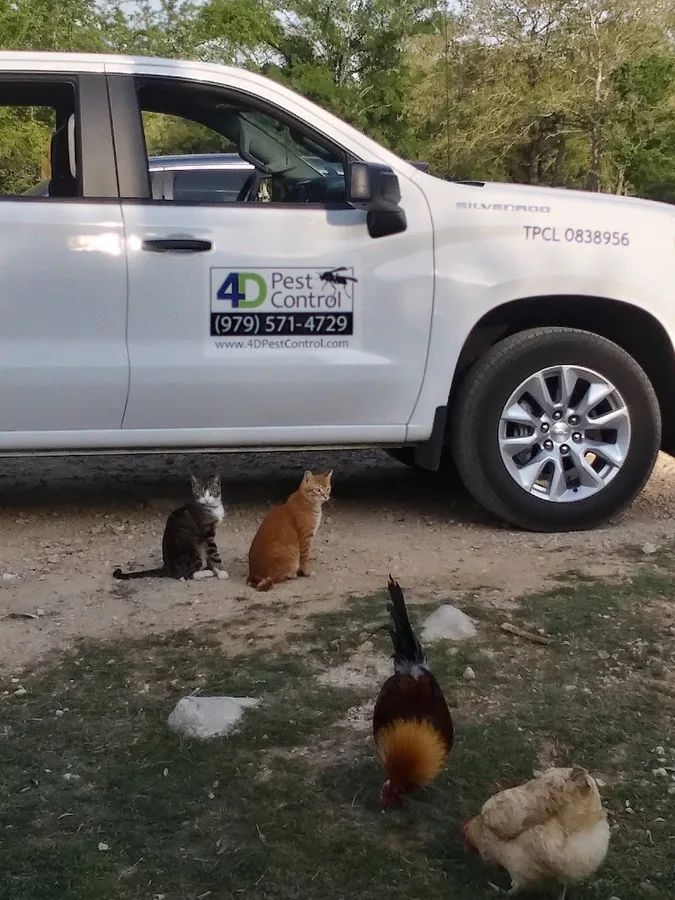 4D pest control, LLC in Somerville, TX — business photo 5