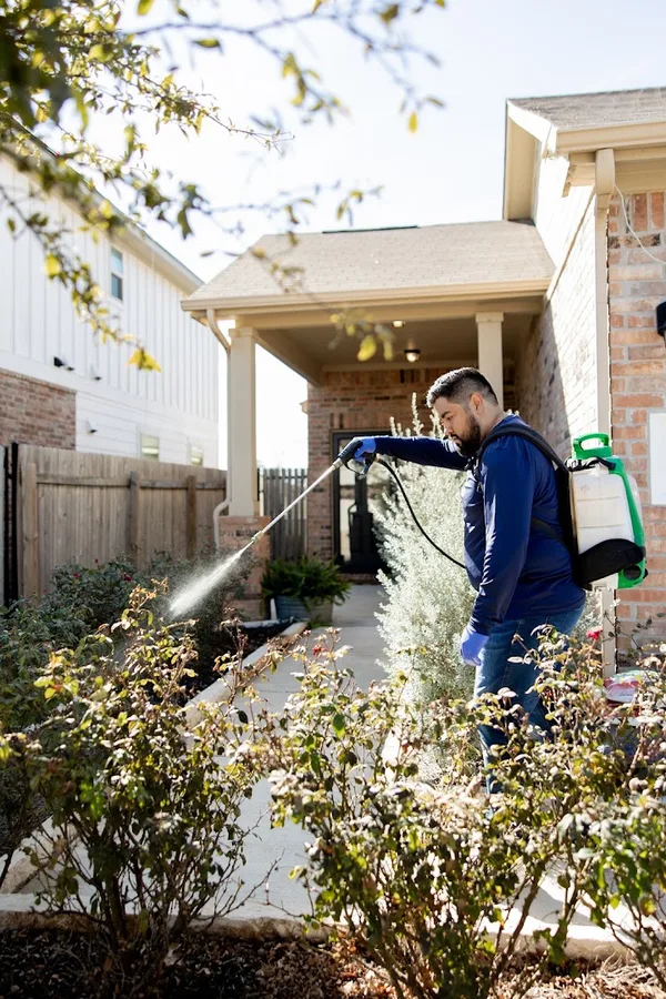 Root Home Services — pest control in Leander, WILLIAMSON County, TX