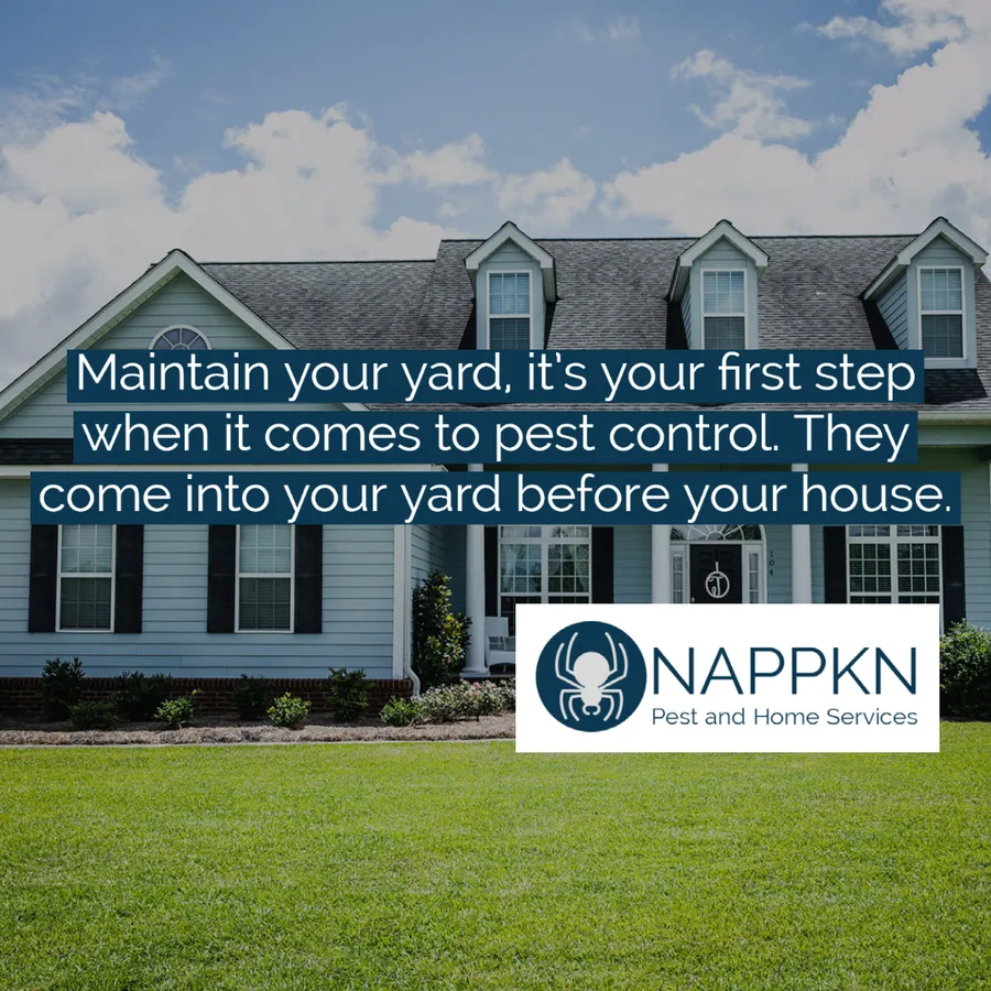 Nappkn Pest and Home Services in San Antonio, TX — business photo 4