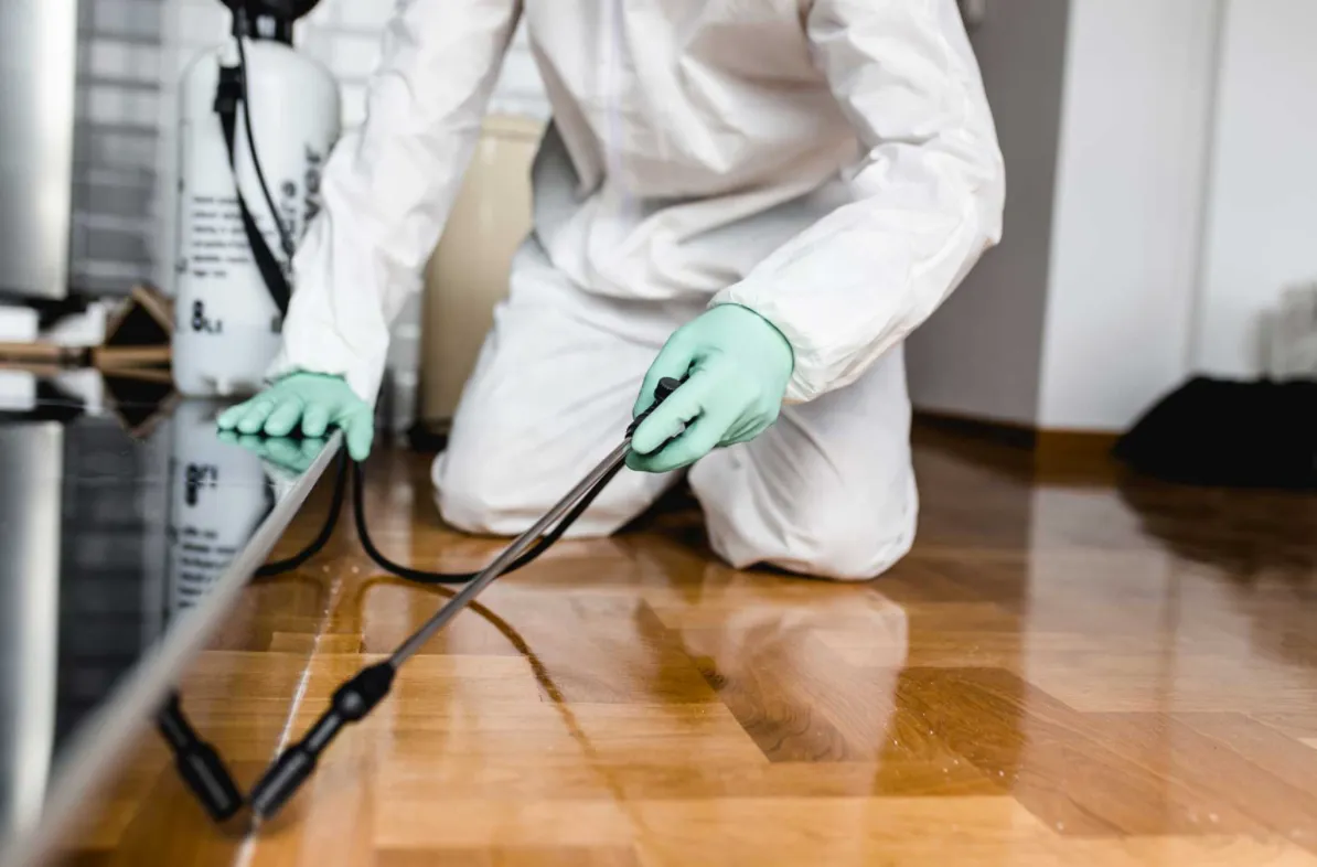 Bug State Pest Control — pest control in San Marcos, HAYS County, TX