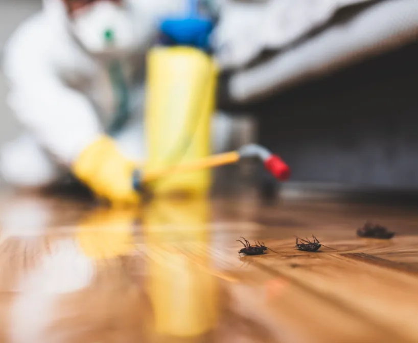 Bug State Pest Control in San Marcos, TX — business photo 4