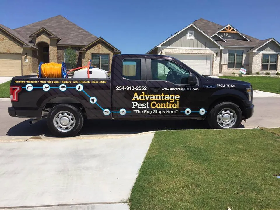 Advantage Pest Control in McKinney, TX — business photo 2