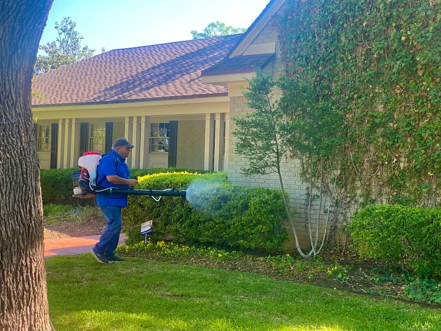 Bug Guys Pest Control — pest control in San Angelo, TOM GREEN County, TX