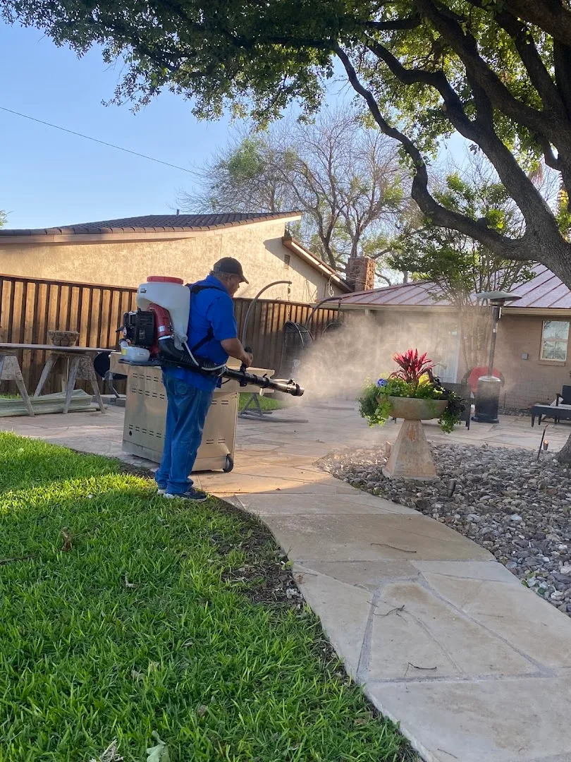 Bug Guys Pest Control in San Angelo, TX — business photo 3