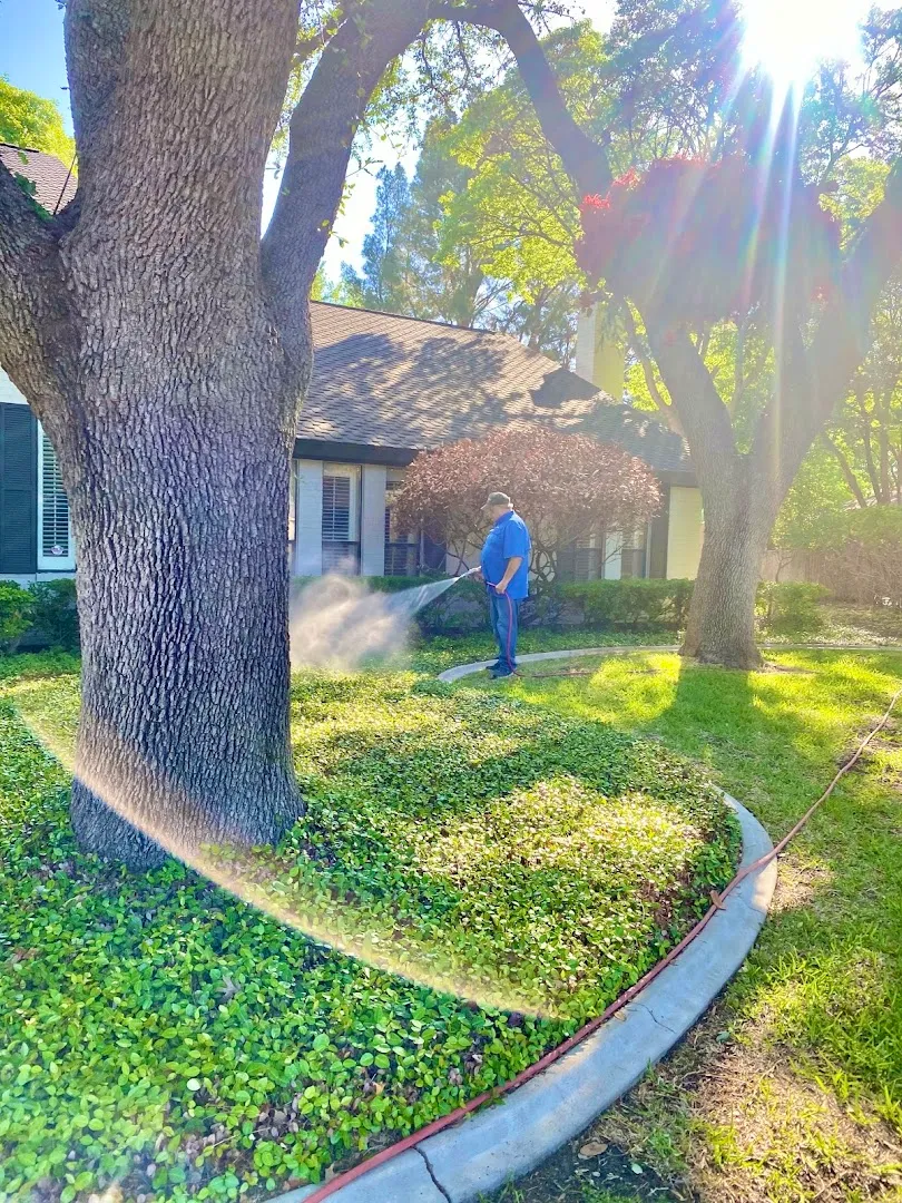 Bug Guys Pest Control in San Angelo, TX — business photo 5