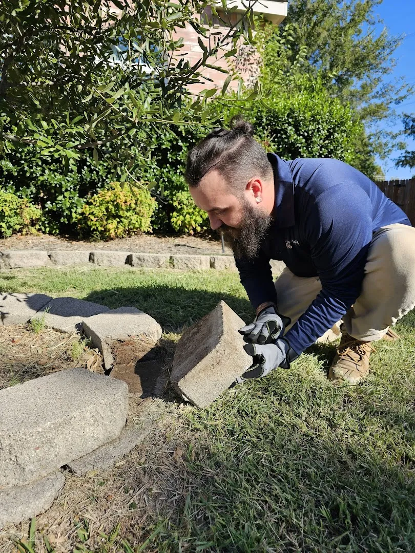 Paragon Pest Control — pest control in Fort Worth, TARRANT County, TX