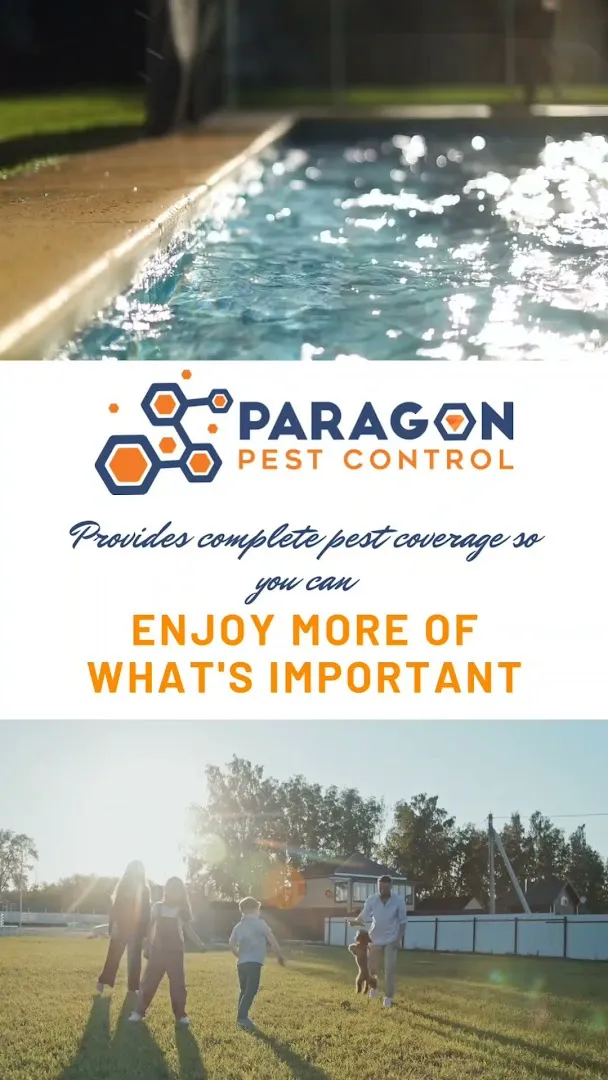 Paragon Pest Control in Fort Worth, TX — business photo 3