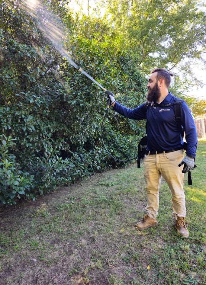 Paragon Pest Control in Fort Worth, TX — business photo 6