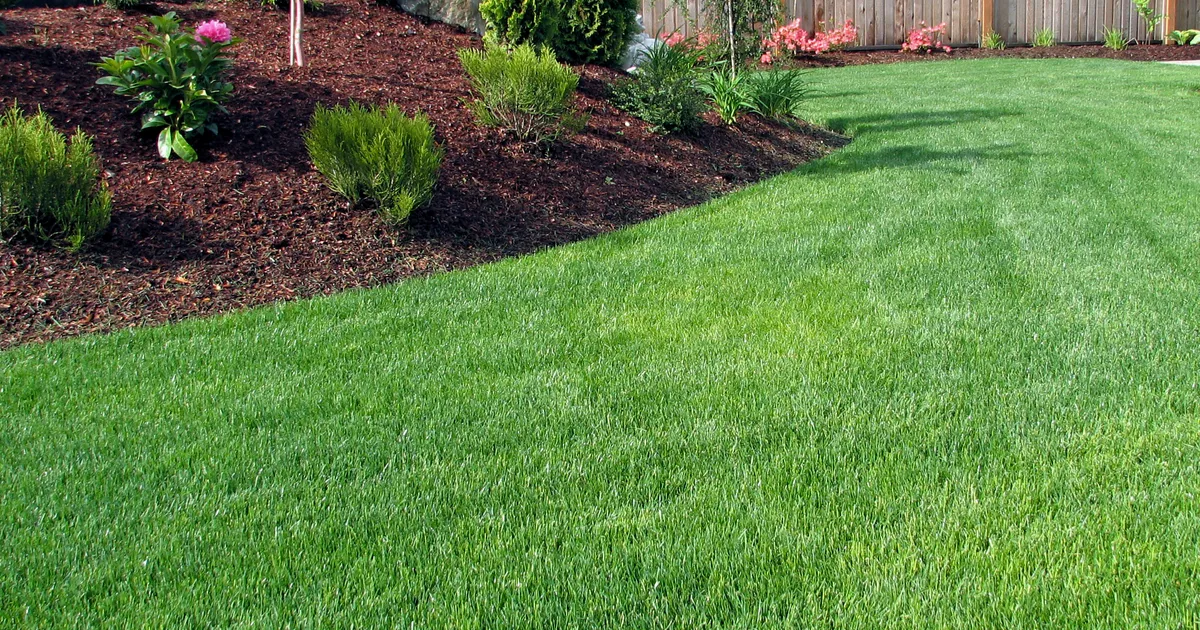 Blue Ribbon Lawncare in Canyon, TX — business photo 2