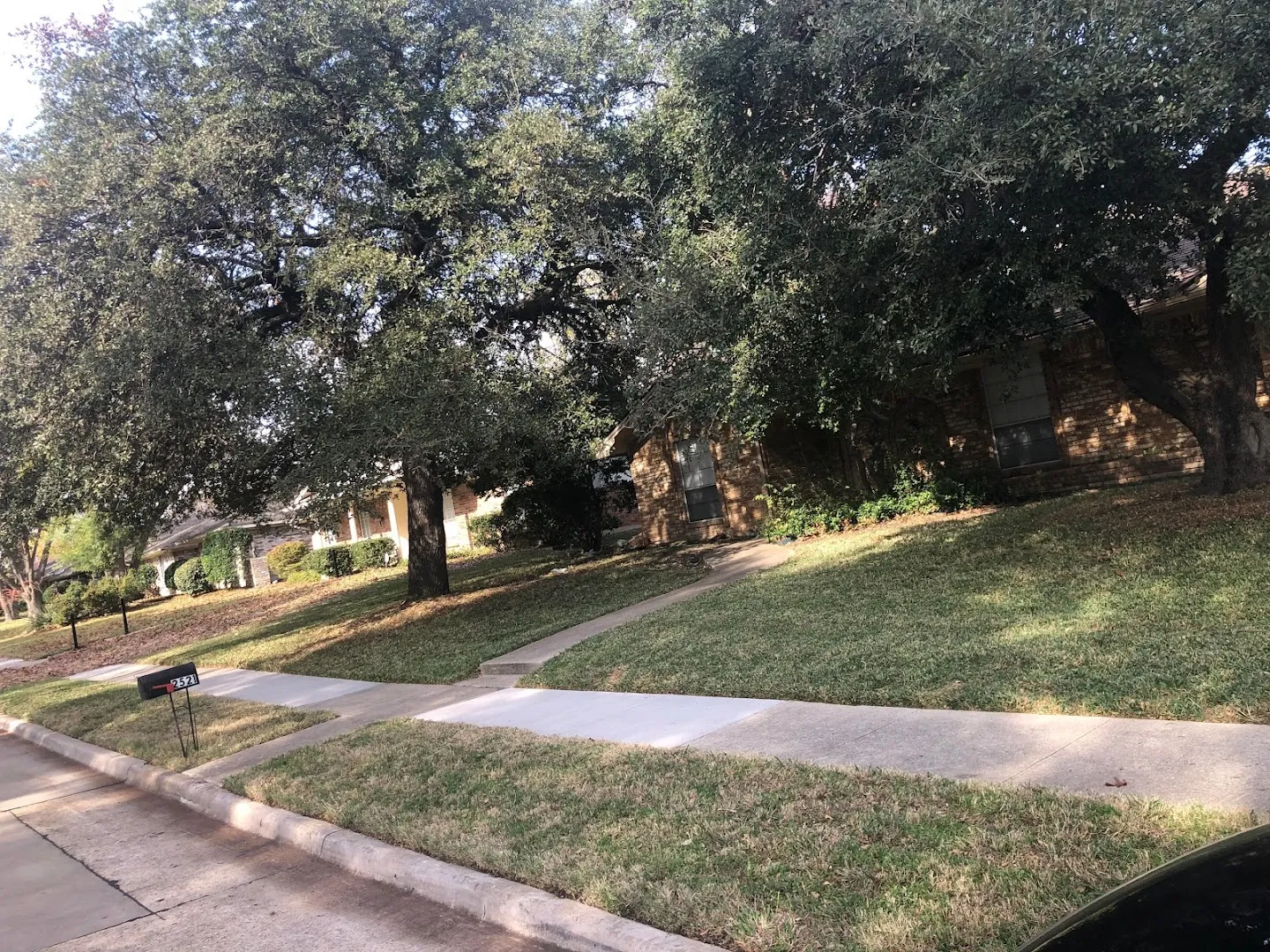 Blue Ribbon Lawncare in Canyon, TX — business photo 5