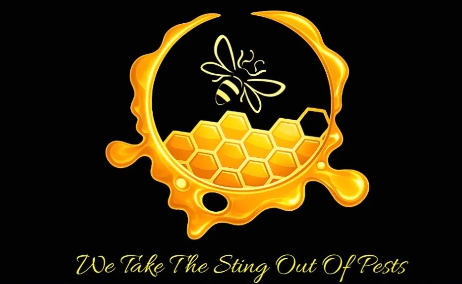 Bee Environmental Pest Control Services LLC — pest control in Corpus Christi, NUECES County, TX