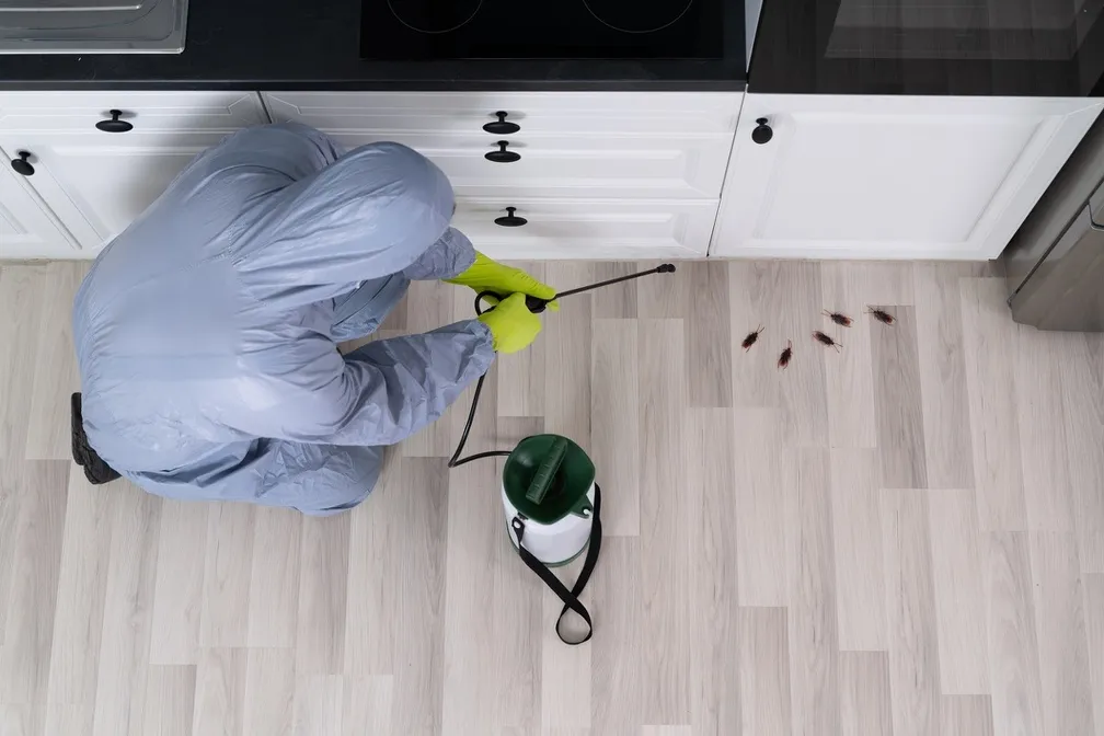 A Ban Exterminators - Pest Control, Termite Extermination and Prevention in San Angelo, TX — business photo 2