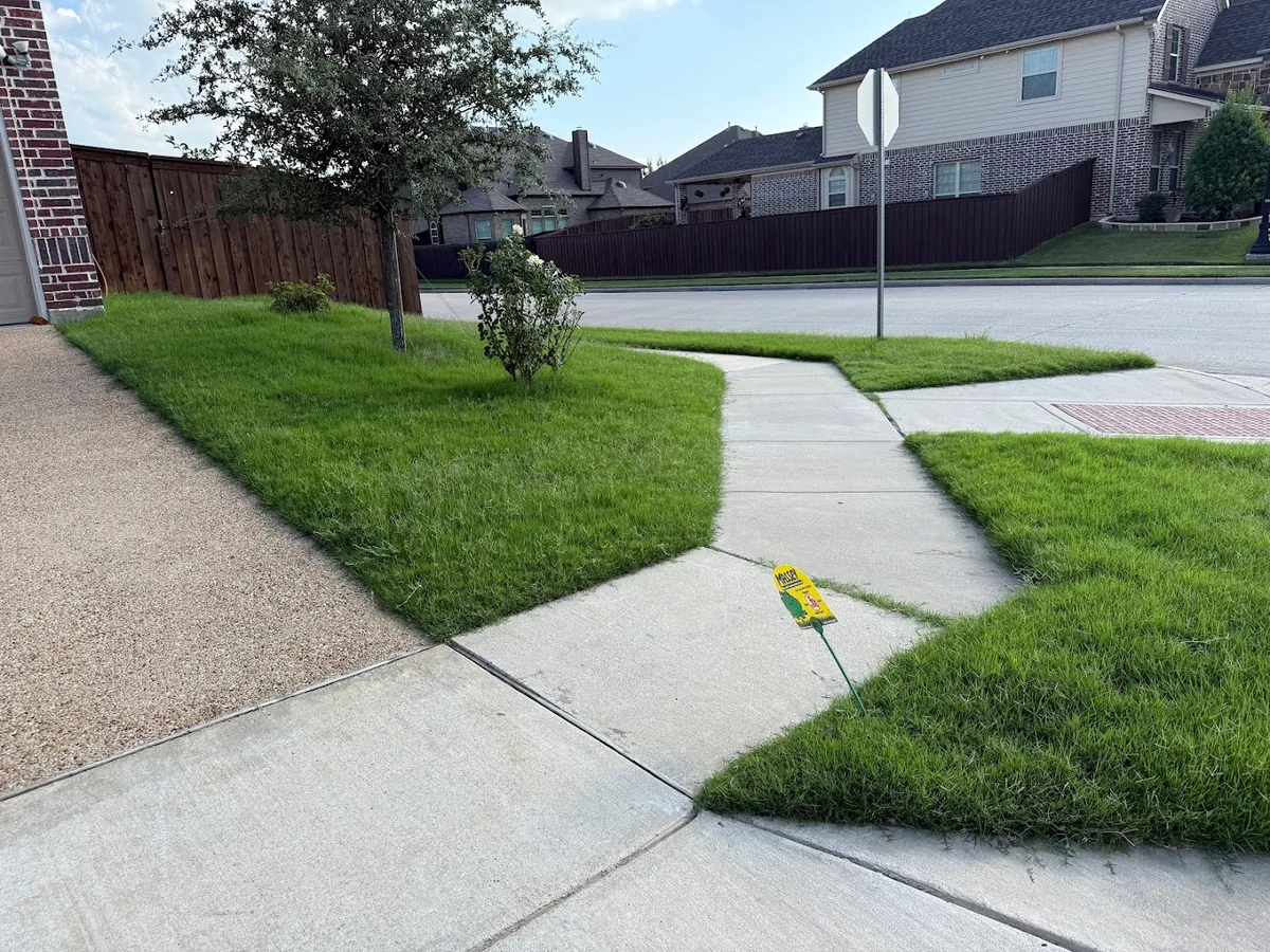 Massey Services Pest Control in Frisco, TX — business photo 2