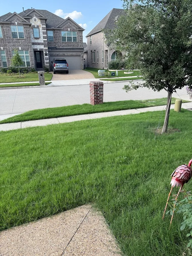 Massey Services Pest Control in Frisco, TX — business photo 5