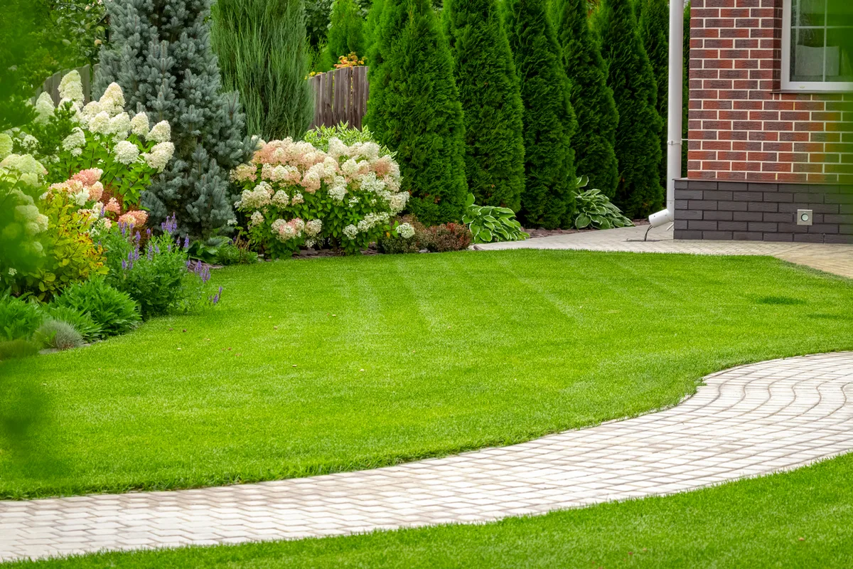 Thick Green Healthy Lawn & Pest in San Antonio, TX — business photo 4