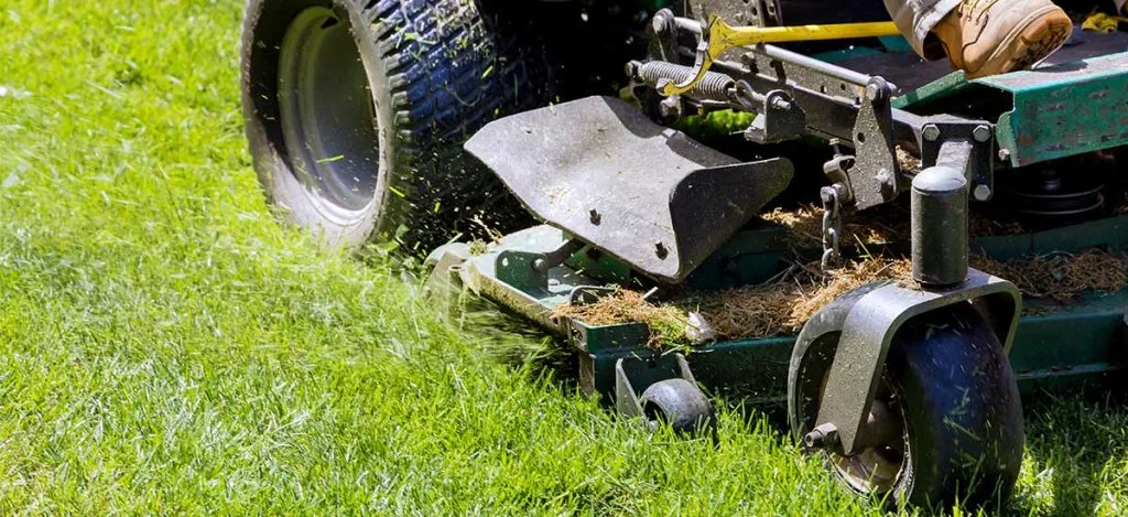 Thick Green Healthy Lawn & Pest in San Antonio, TX — business photo 6