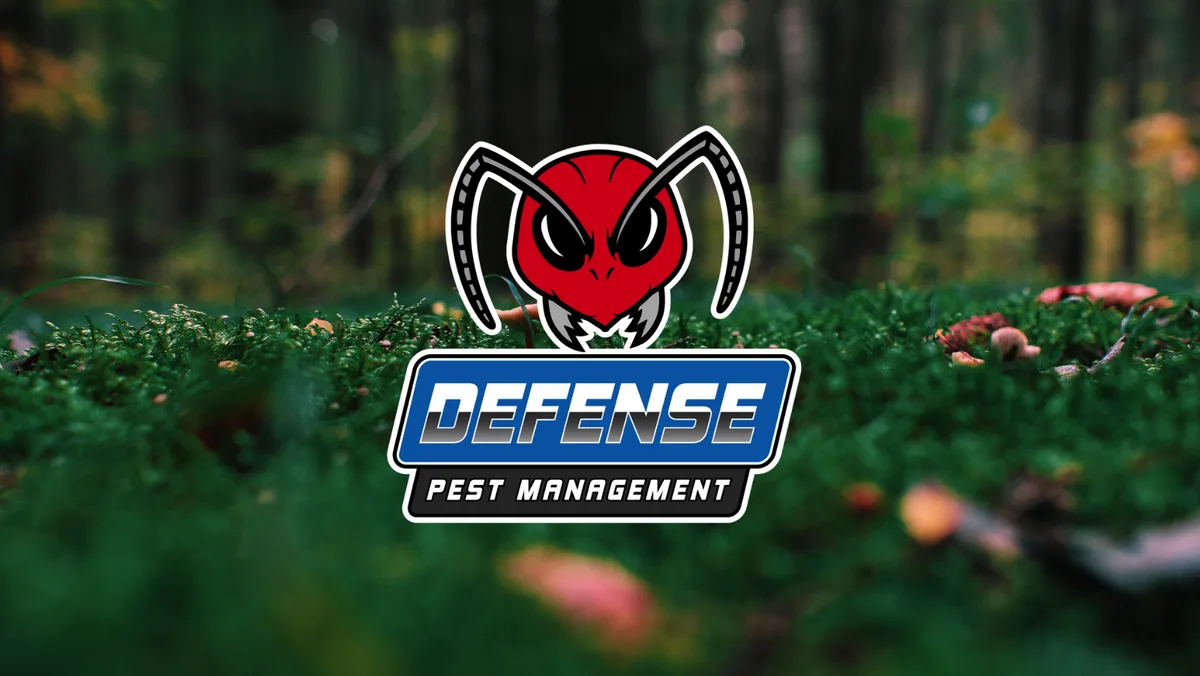 Defense Pest Management in Fort Worth, TX — business photo 3