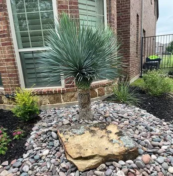 Bergstrom Landscape in Trophy Club, TX — business photo 5