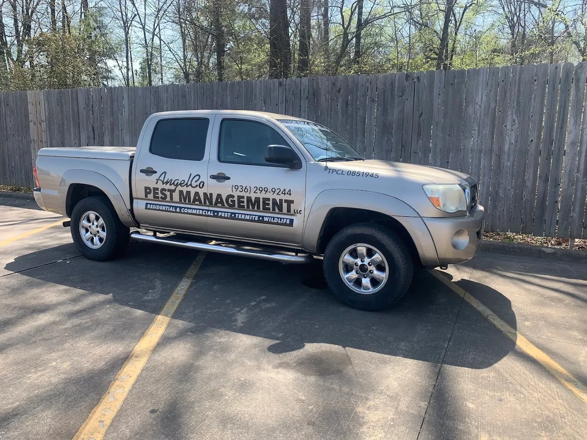 AngelCo Pest Management, LLC — pest control in Lufkin, ANGELINA County, TX