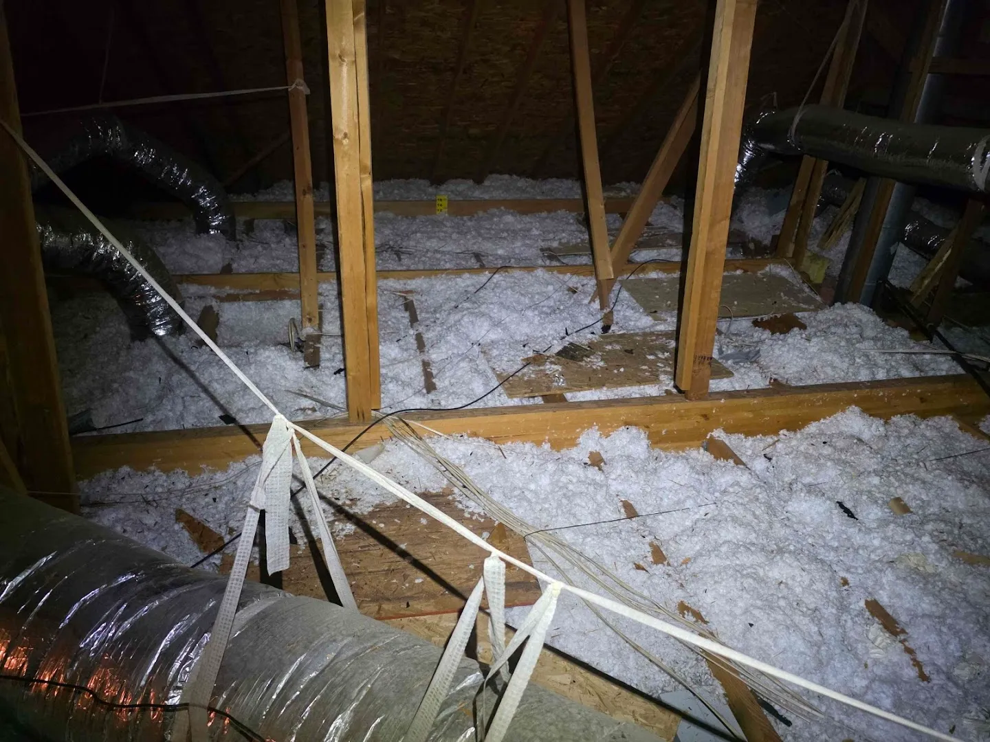Haven Pest Solutions in Dallas, TX — business photo 6