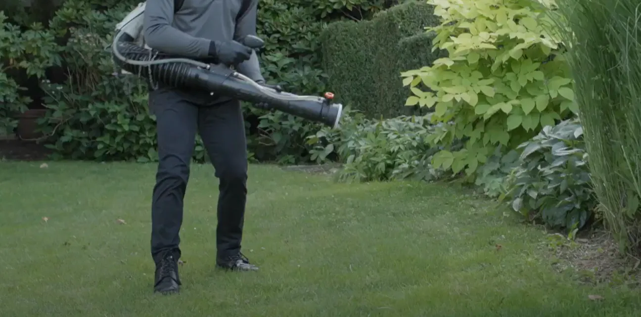 El Paso Pest Control Pros — pest control in El Paso, EL PASO County, TX