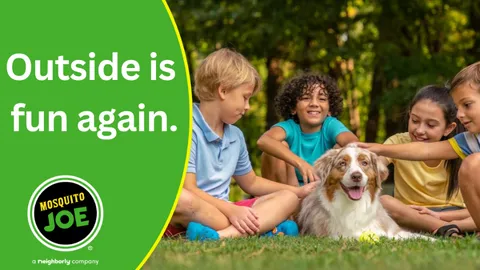 Mosquito Joe of Baytown-Beaumont — pest control in Orange, ORANGE County, TX