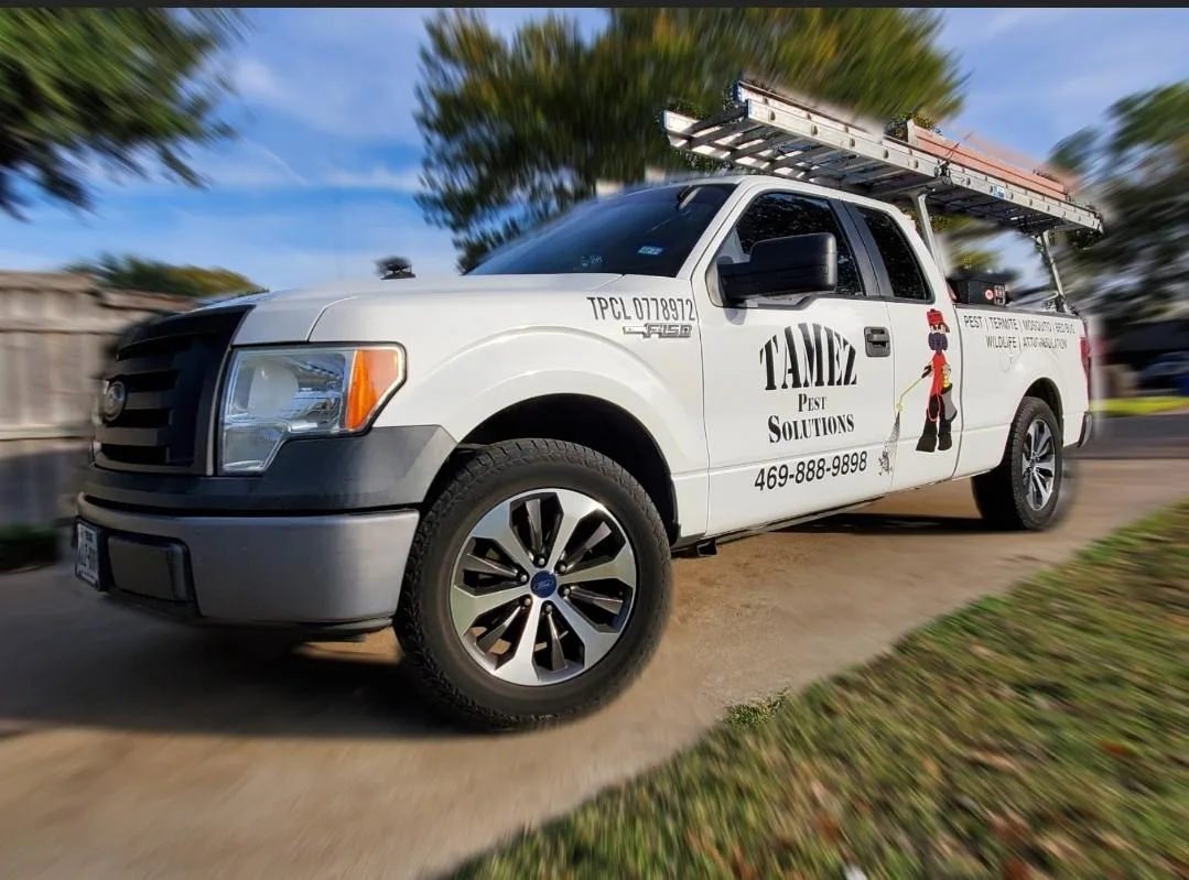 Tamez Pest Solutions — pest control in Dallas, DALLAS County, TX