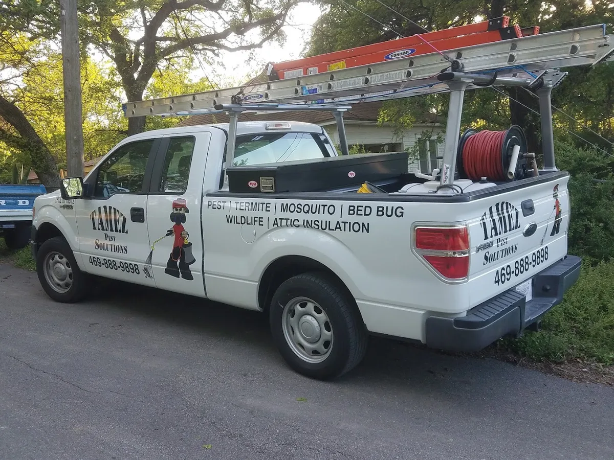Tamez Pest Solutions in Dallas, TX — business photo 2