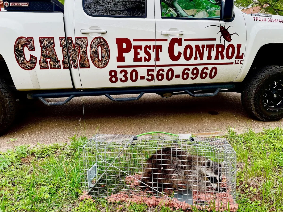 Camo Pest Control in New Braunfels, TX — business photo 3