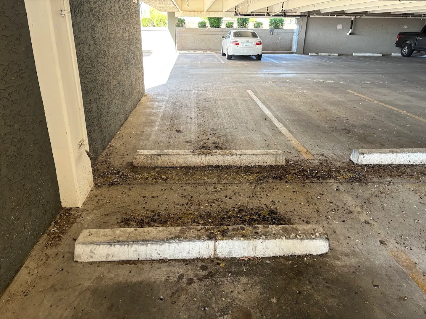 Ultimate Pest in Fort Worth, TX — business photo 4