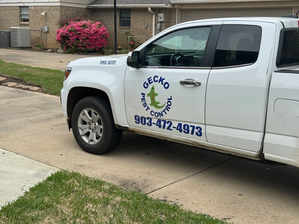 Gecko Pest Control in Longview, TX — business photo 5