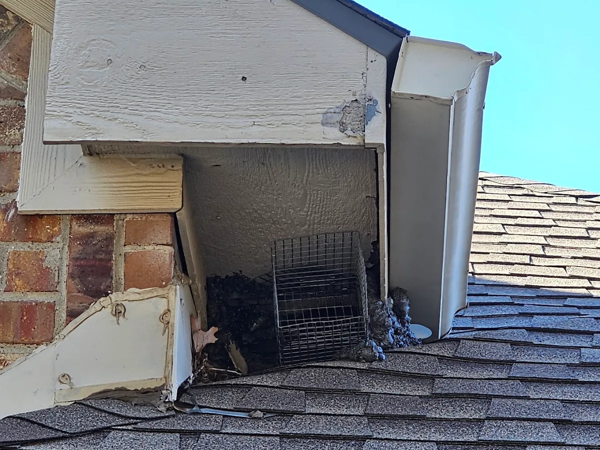Red Rover Rodent Removal in Carrollton, TX — business photo 6
