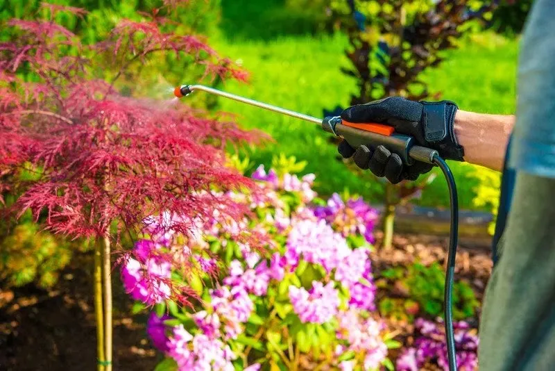 Young Guns Pest Control in Fort Worth, TX — business photo 4