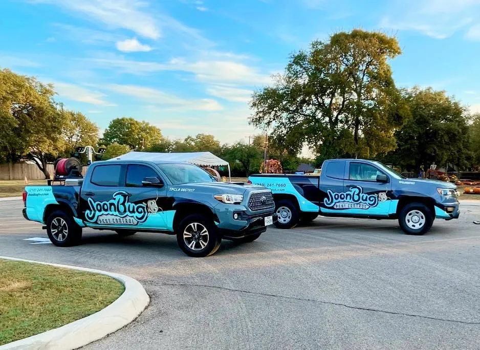 JoonBug Pest Control in San Antonio, TX — business photo 4