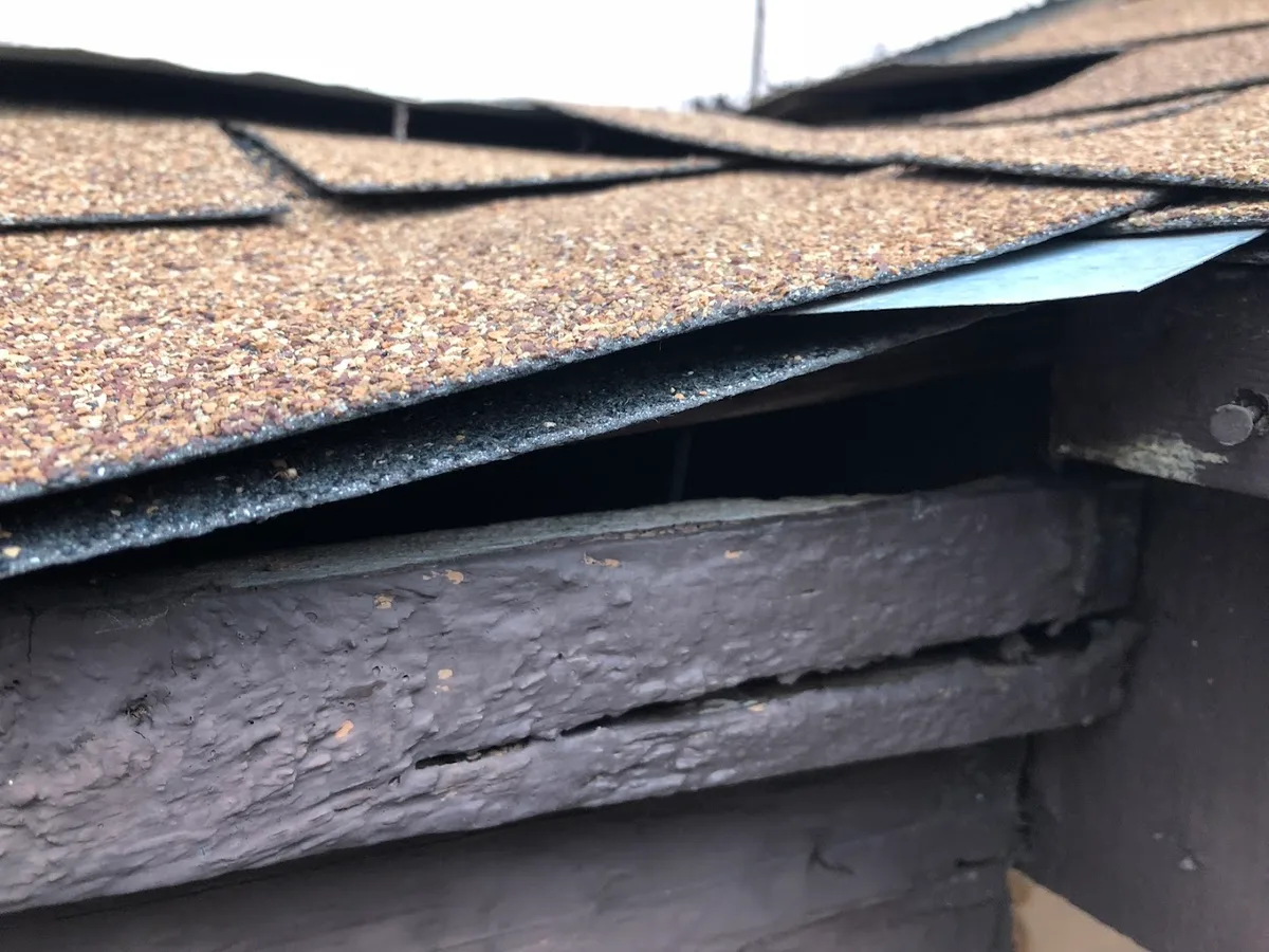 3rd Rock Pest Pros Inc. in Austin, TX — business photo 4