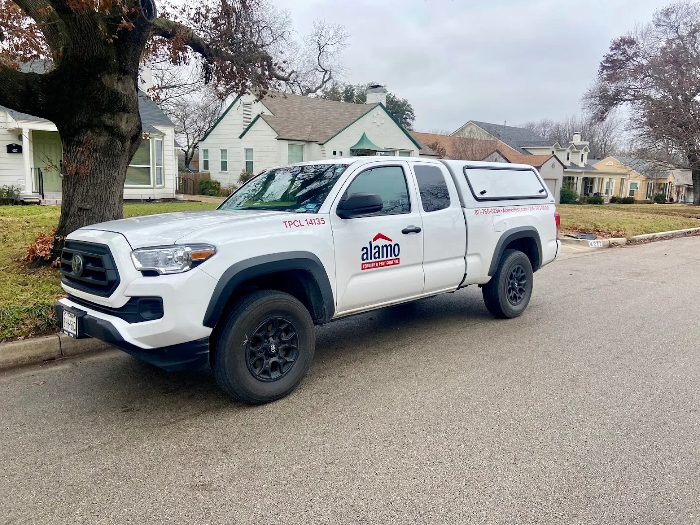 Alamo Termite & Pest Control — pest control in Fort Worth, TARRANT County, TX