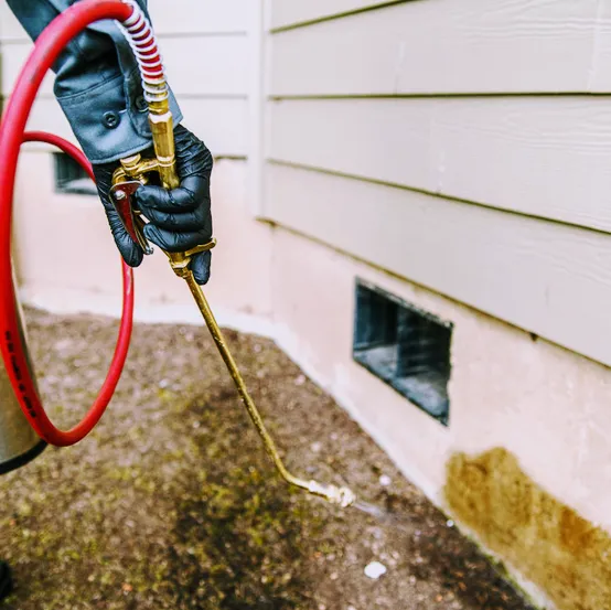 On the Spot Pest Control in Houston, TX — business photo 3