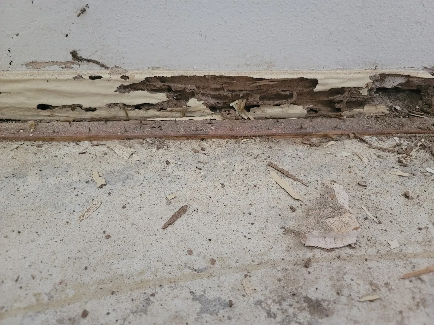 Pyramid Pest Solutions, LLC in Bastrop, TX — business photo 4