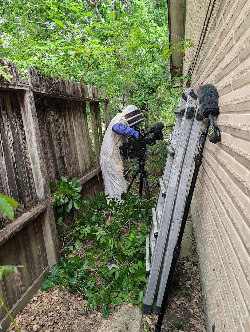 911 Pest Patrol in Galveston, TX — business photo 4