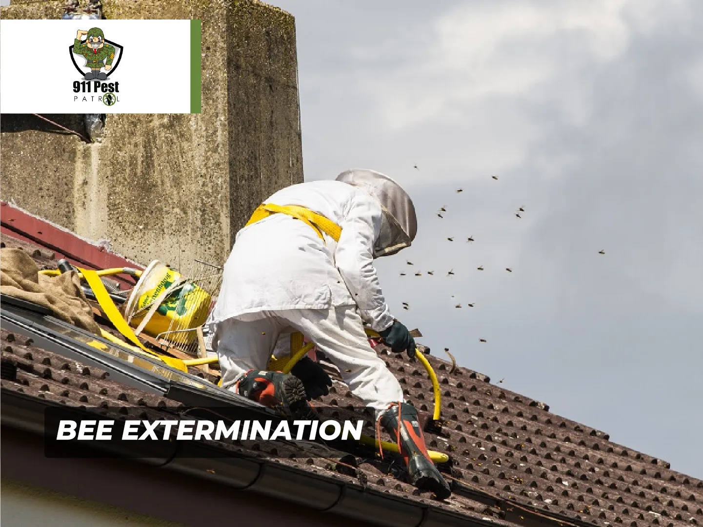 911 Pest Patrol in Galveston, TX — business photo 6