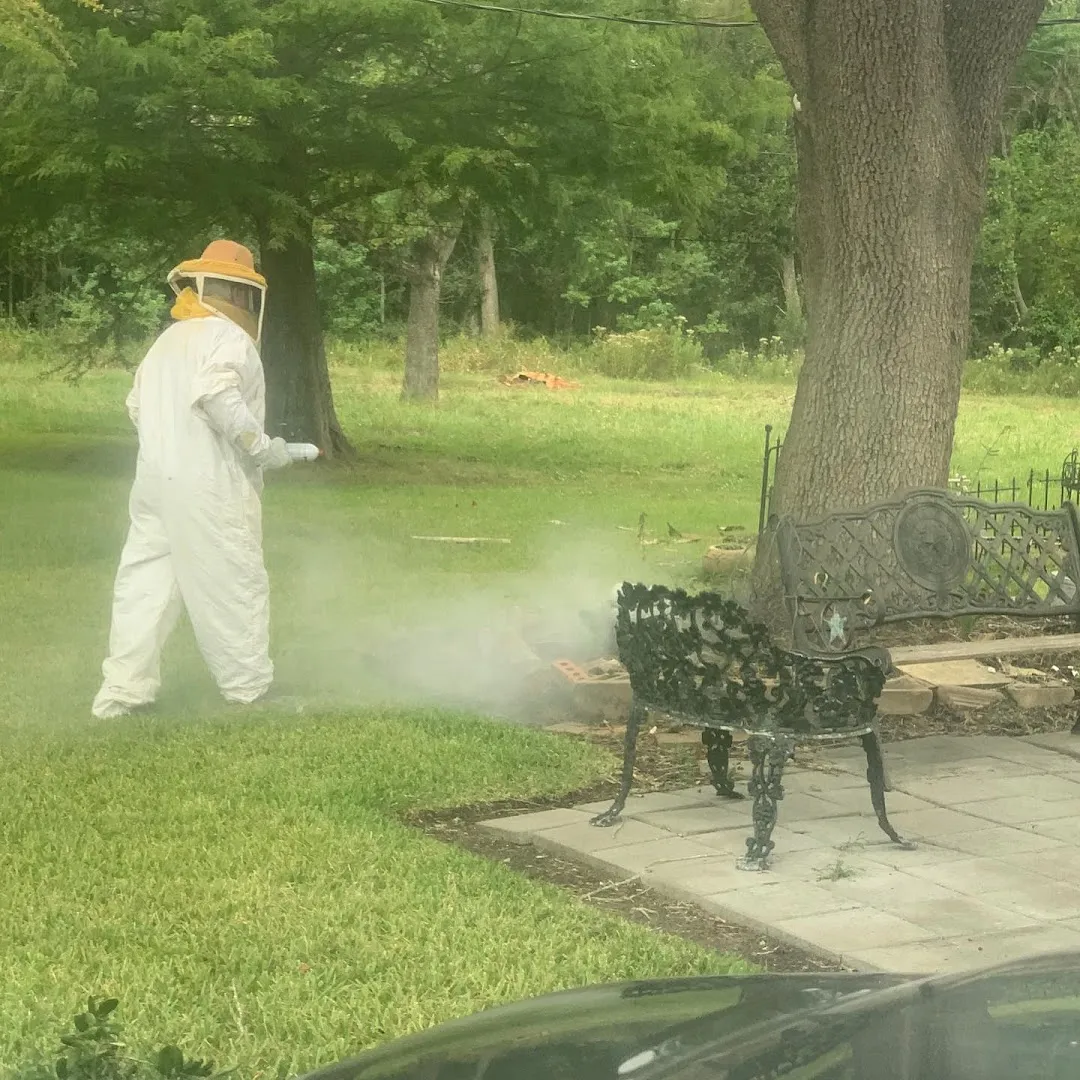 Swat Team Pest Control — pest control in Houston, HARRIS County, TX