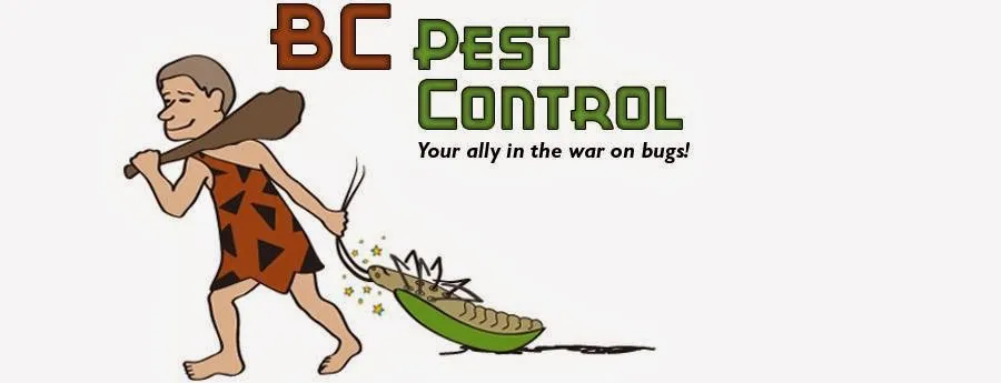 BC Pest Control in Georgetown, TX — business photo 2