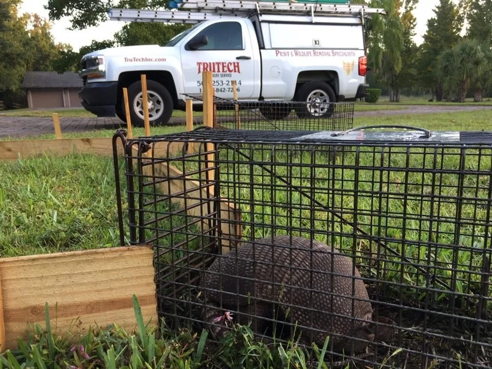 Trutech Wildlife Service in Fort Worth, TX — business photo 4