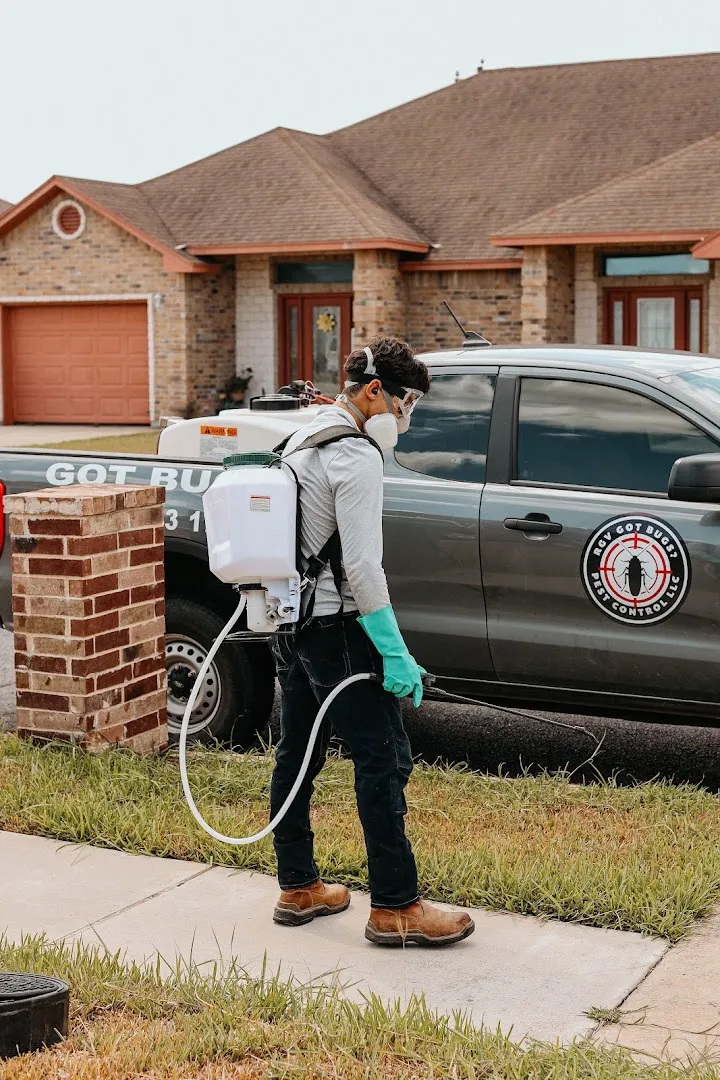 RGV Got Bugs Pest Control LLC — pest control in Brownsville, CAMERON County, TX